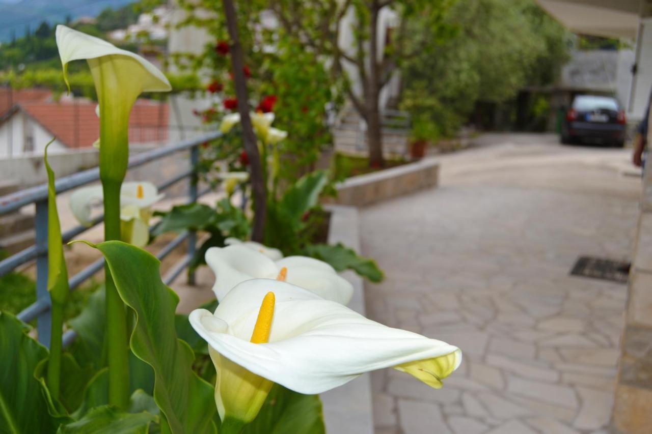 Tivat Apartments Εξωτερικό φωτογραφία