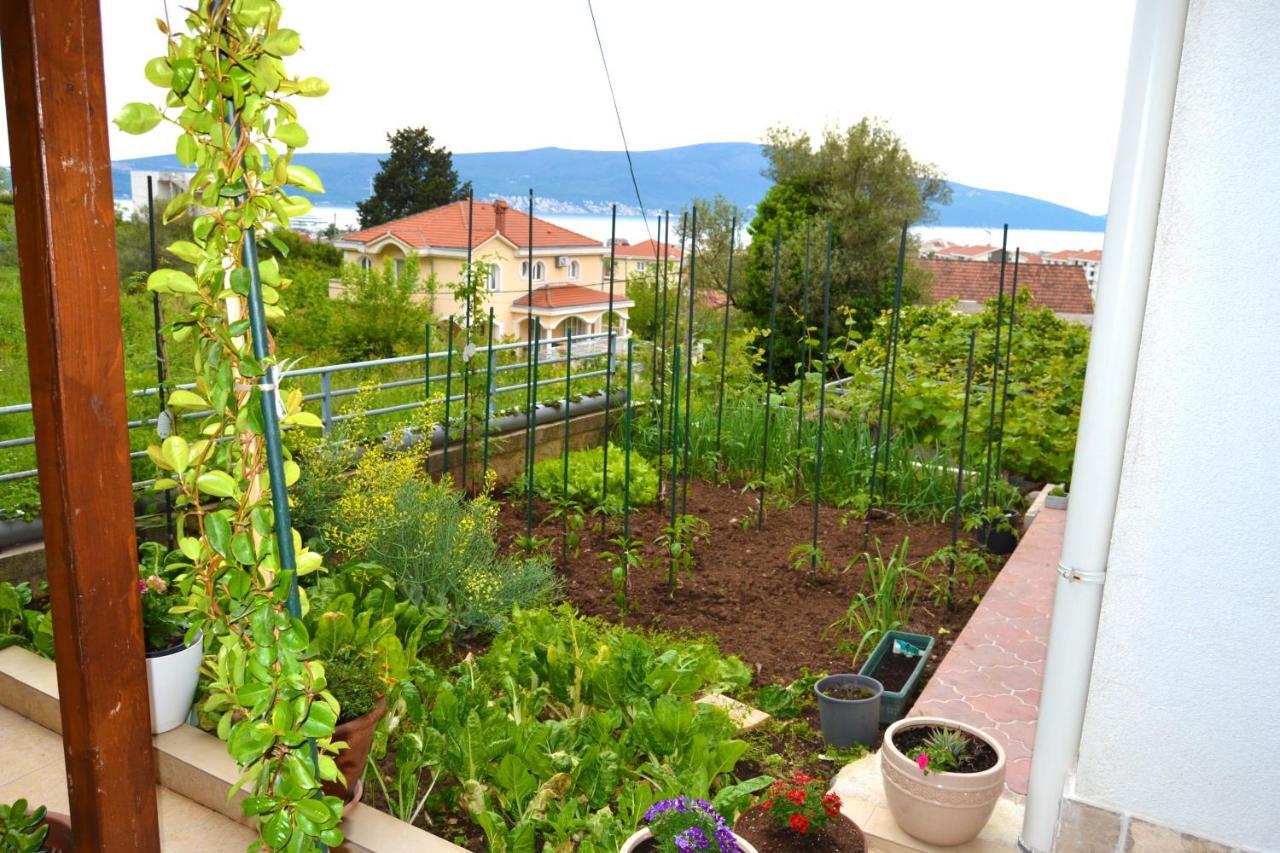 Tivat Apartments Εξωτερικό φωτογραφία
